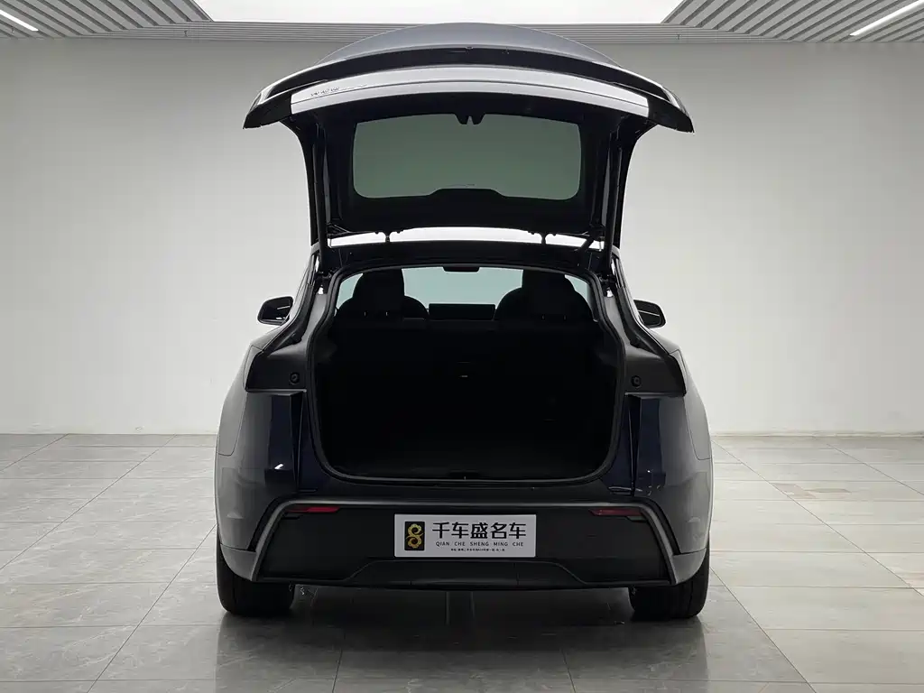Tesla Model Y — миниатюра 10