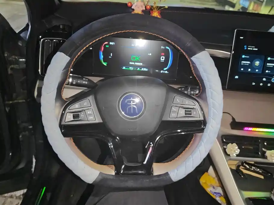 BYD SONGJIANG NEW ENERGY