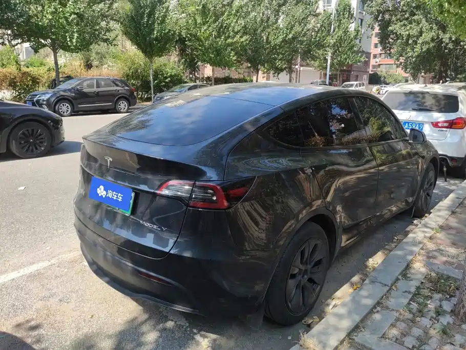 Tesla Model Y — миниатюра 3