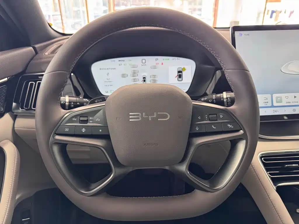 BYD PLUS New Energy — миниатюра 12