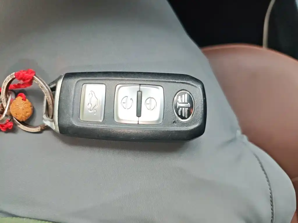 FAW Senya R7 — миниатюра 9