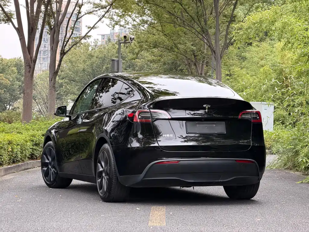 Tesla Model Y — миниатюра 4