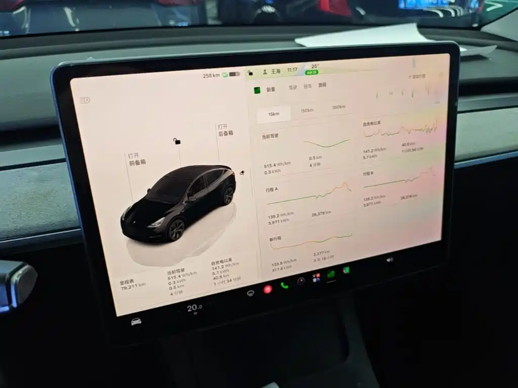 Tesla Model Y — миниатюра 13