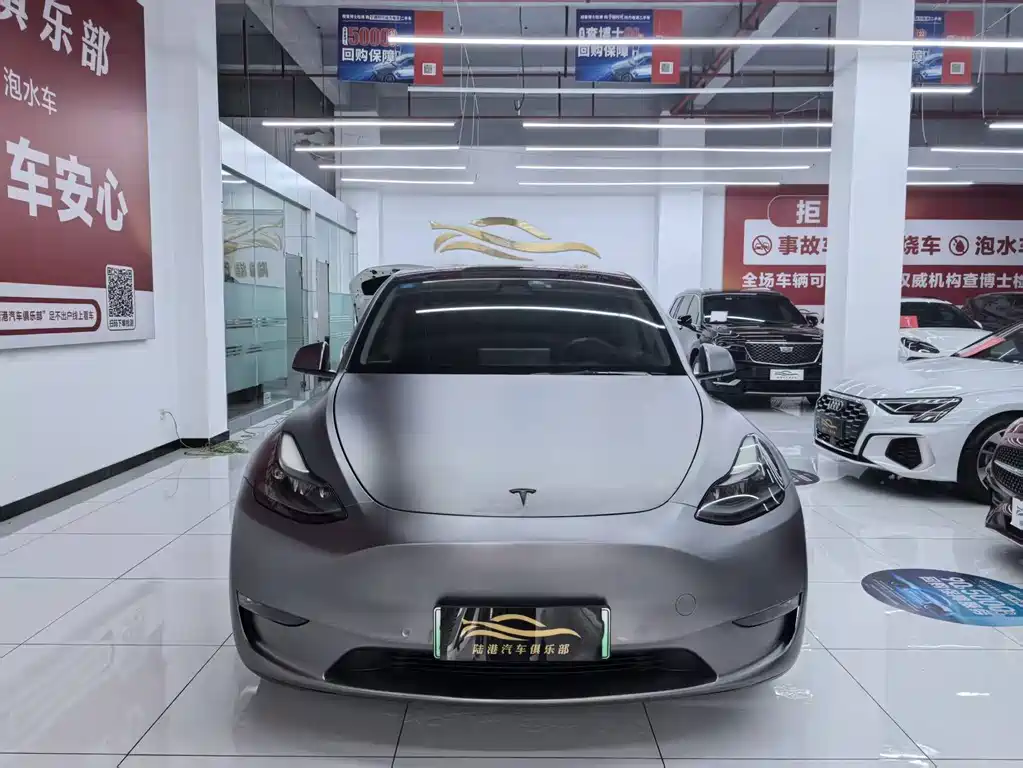 Tesla Model Y — миниатюра 2