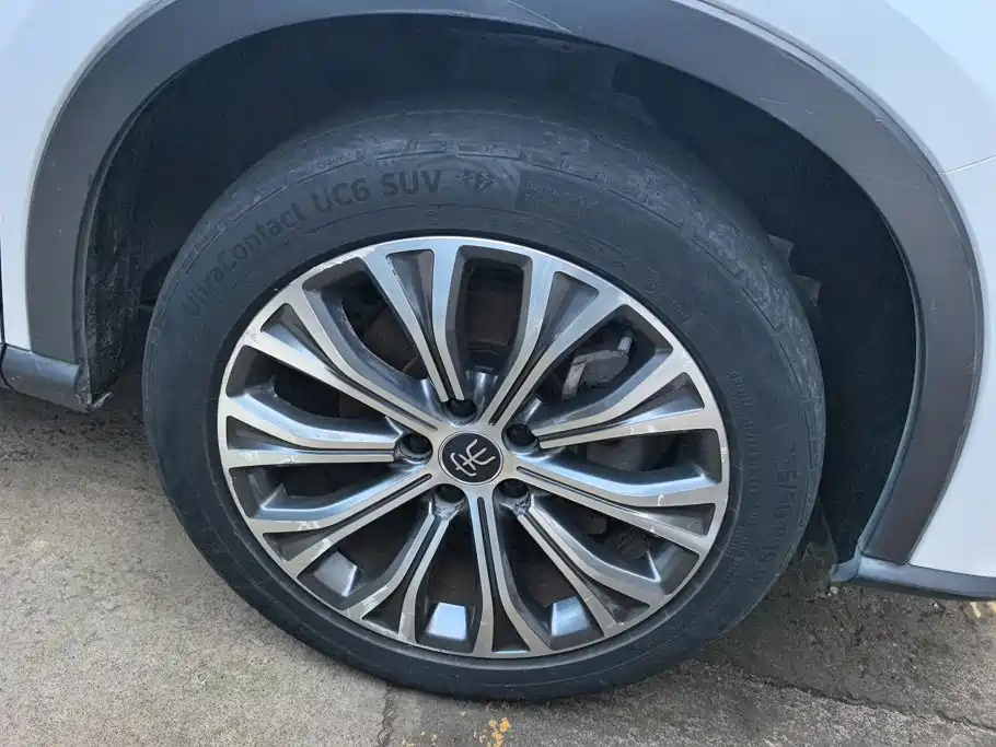 BYD Pro New Energy — миниатюра 6