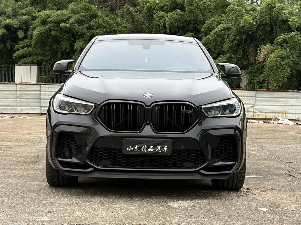 BMW X6 M — миниатюра 2