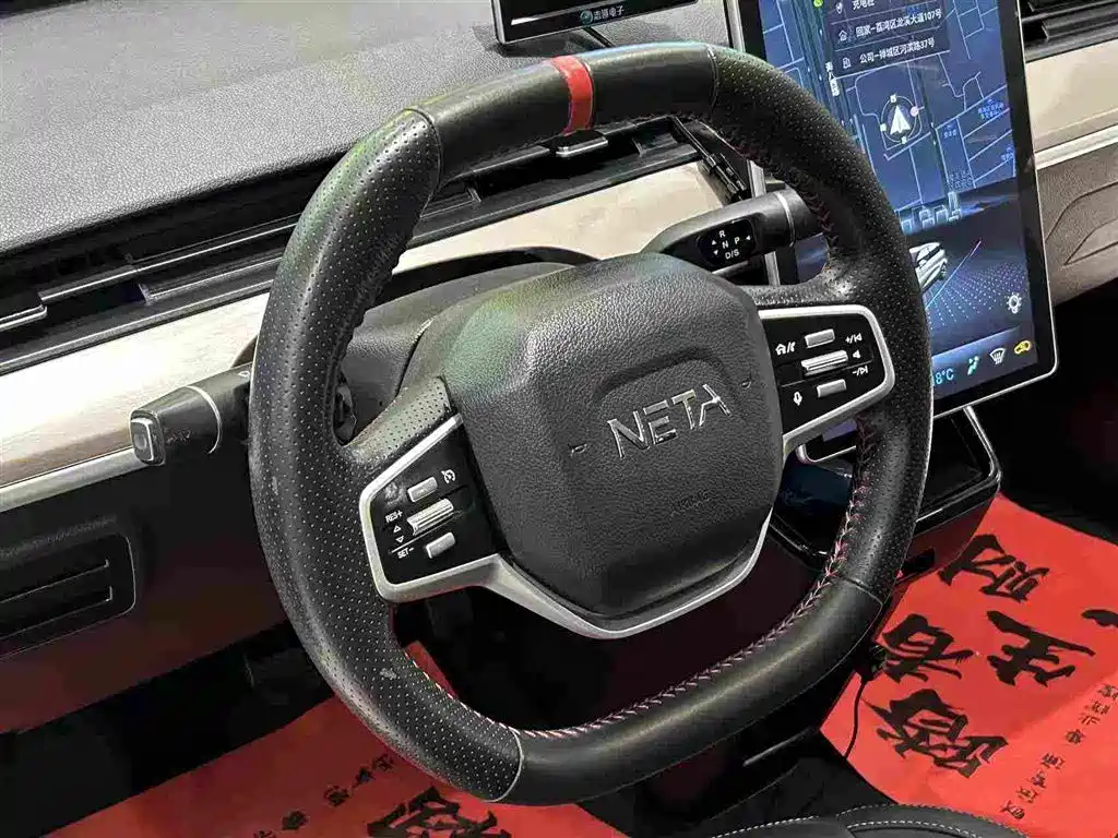 Neta Neta V — миниатюра 6