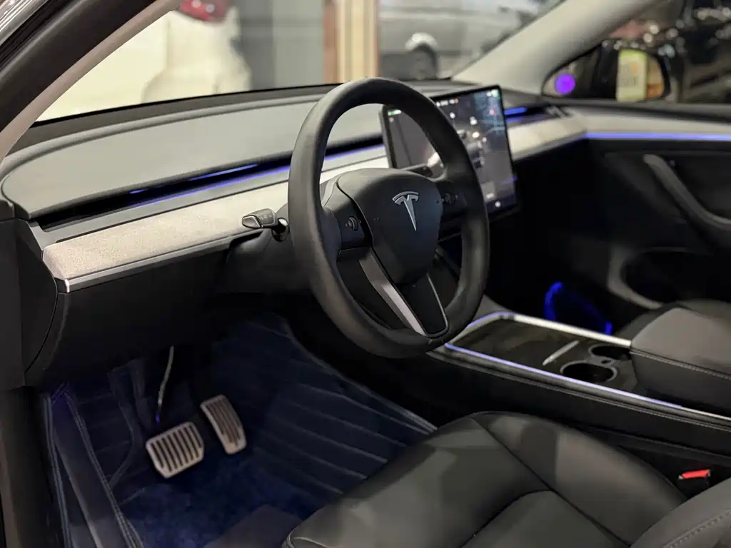 Tesla Model Y — миниатюра 4