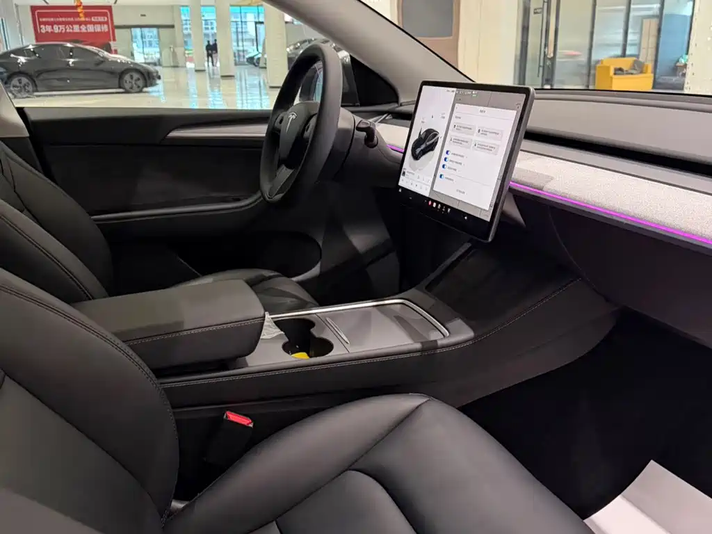 Tesla Model Y — миниатюра 4