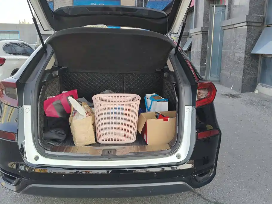Honda Avancier — миниатюра 4