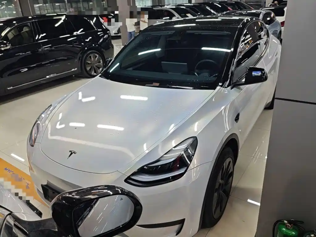 Tesla Model Y — миниатюра 2