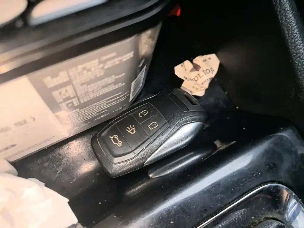 Soueast DX3 — миниатюра 9