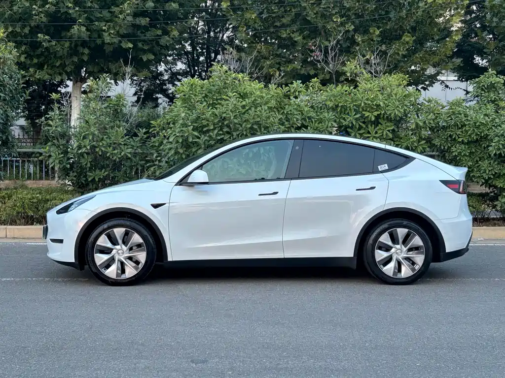 Tesla Model Y — миниатюра 12