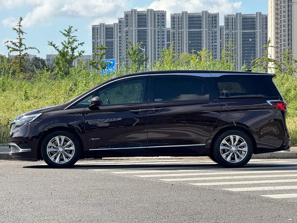 Buick GL8 — миниатюра 3