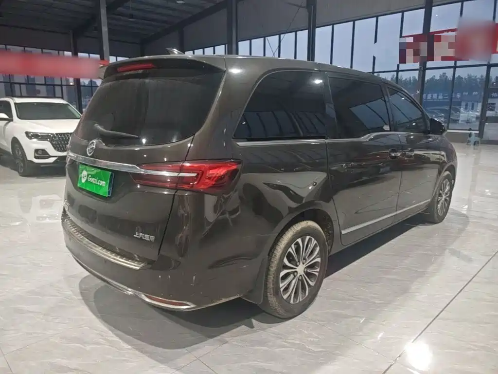 Buick GL8 — миниатюра 7