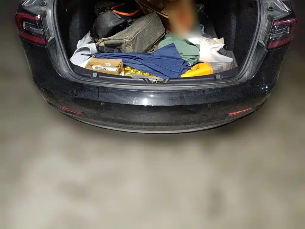Tesla Model 3 — миниатюра 15