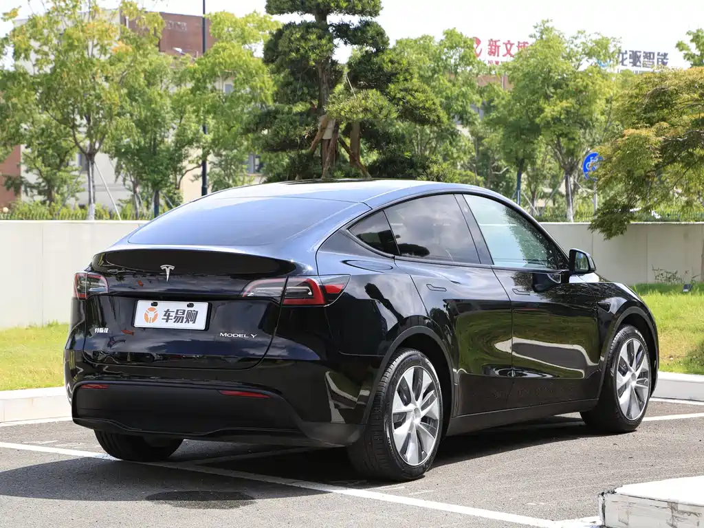 Tesla Model Y — миниатюра 20