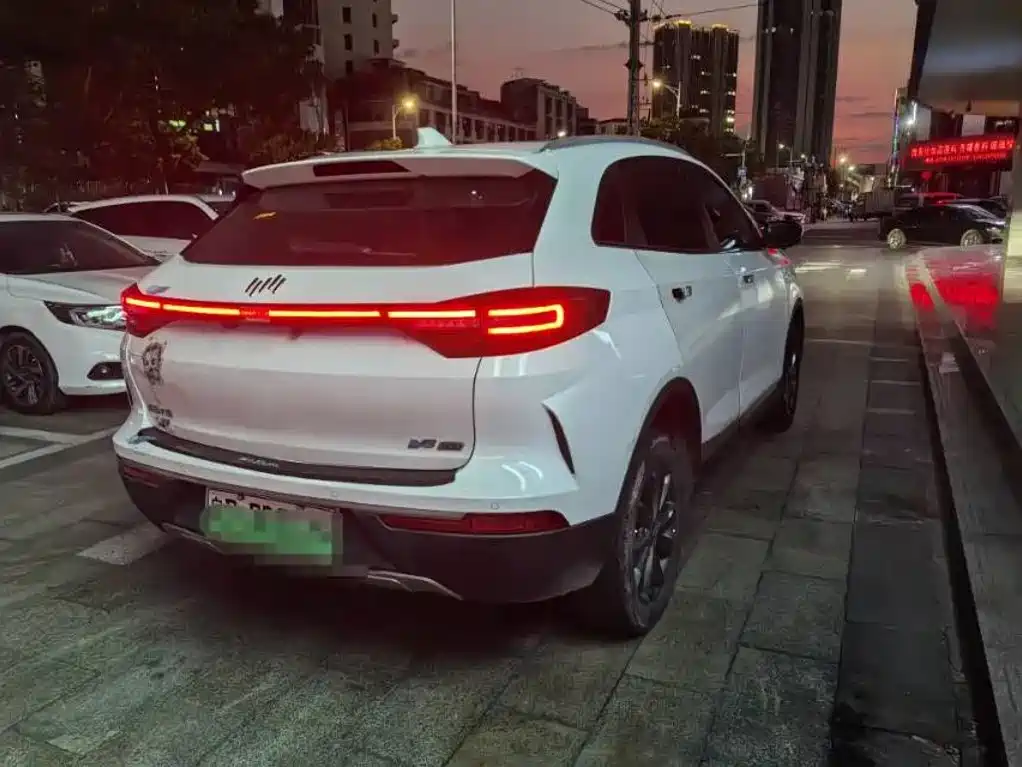 WM Motor EX5 — миниатюра 9
