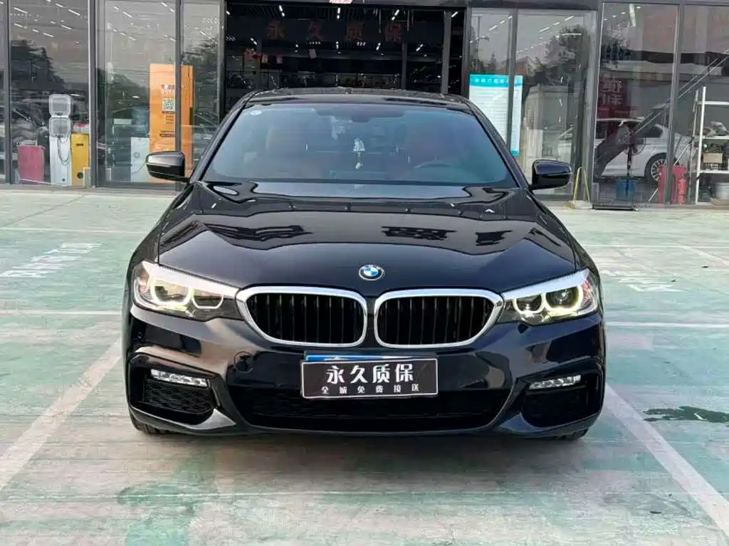 BMW 5 Series (Import) — миниатюра 2
