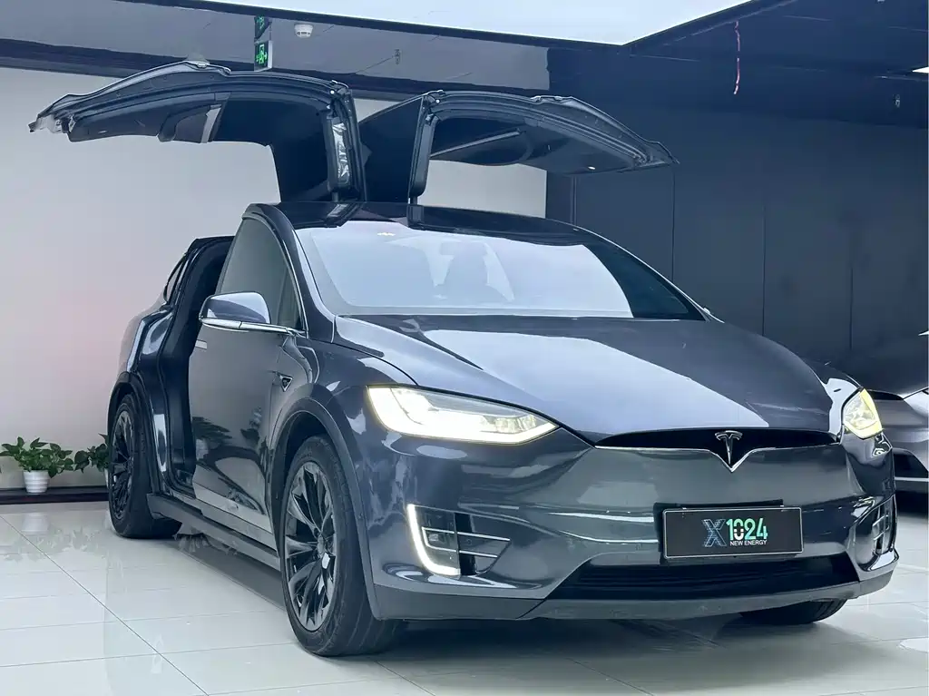 Tesla Model X — миниатюра 3