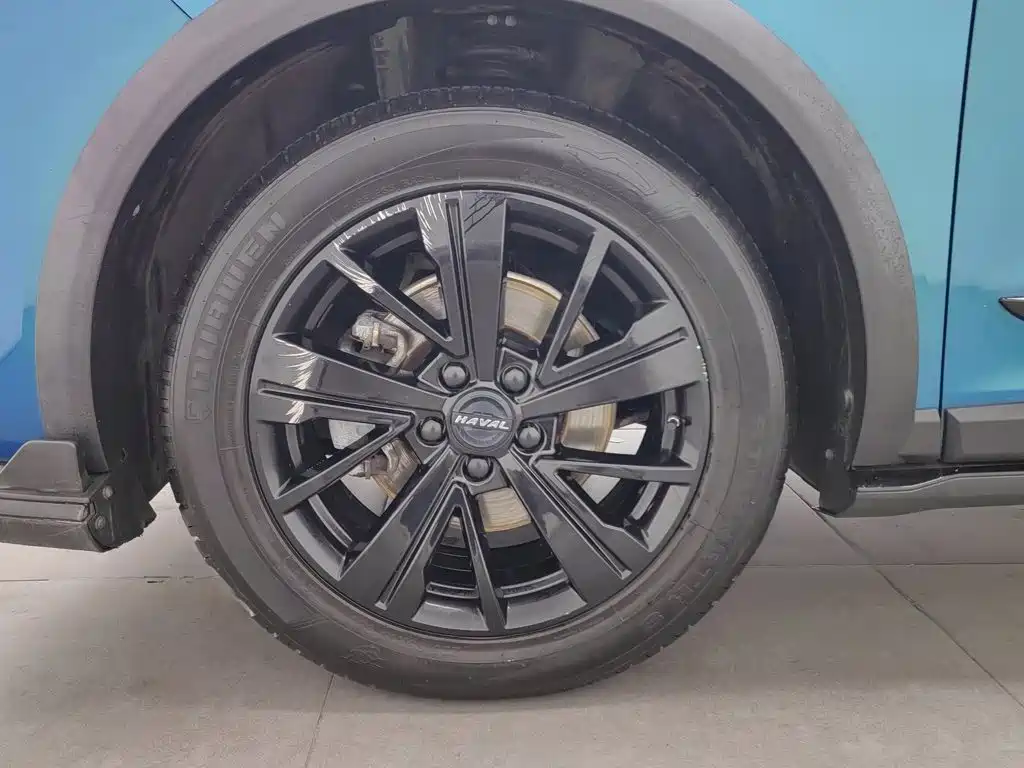 Haval Chitu — миниатюра 17