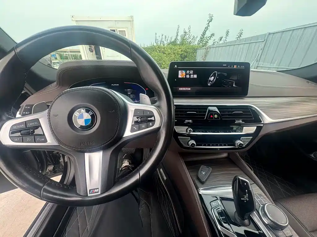 BMW 5 Series — миниатюра 6
