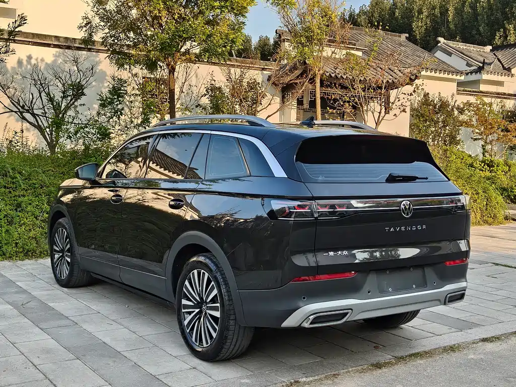 Volkswagen Tavendor — миниатюра 5