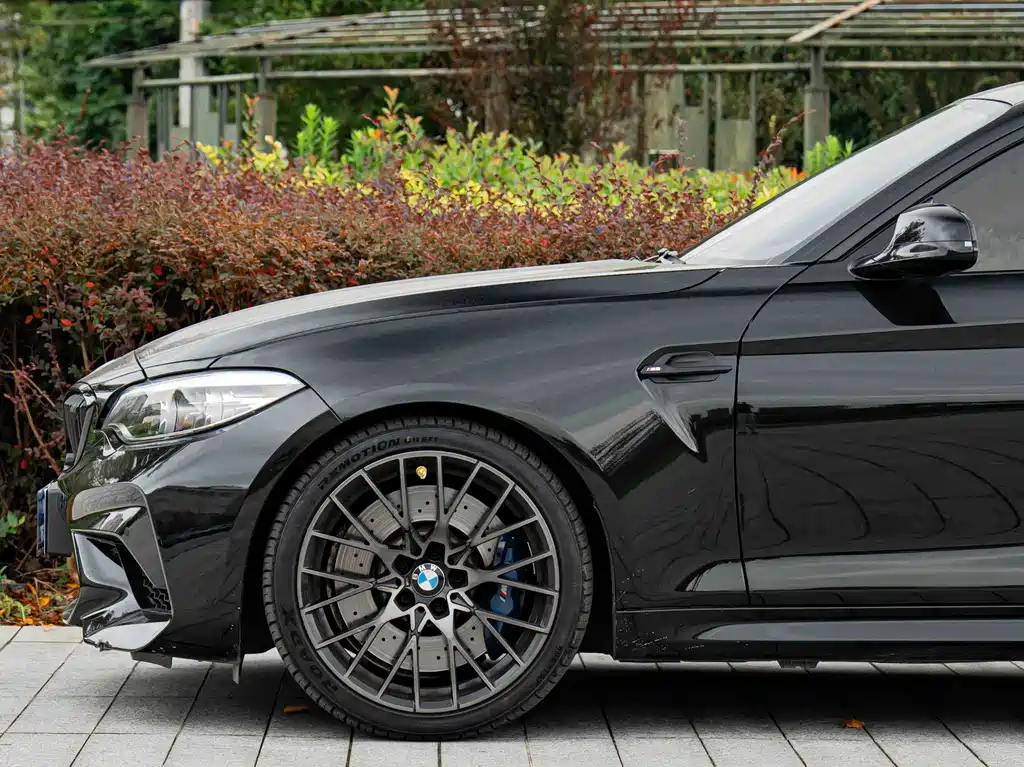 BMW M2 — миниатюра 5