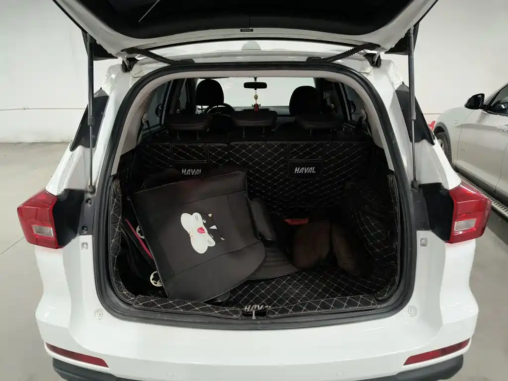 Haval M6 — миниатюра 19