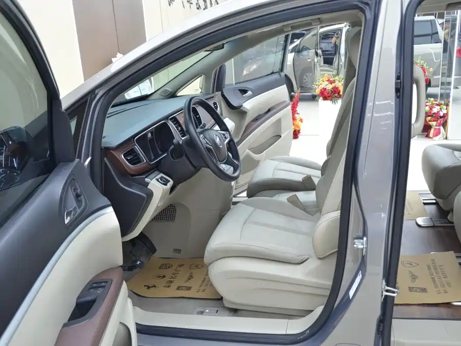 Buick GL8 2018 28T Luxury VI