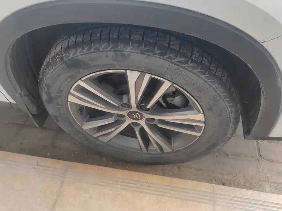 BYD Pro — миниатюра 6