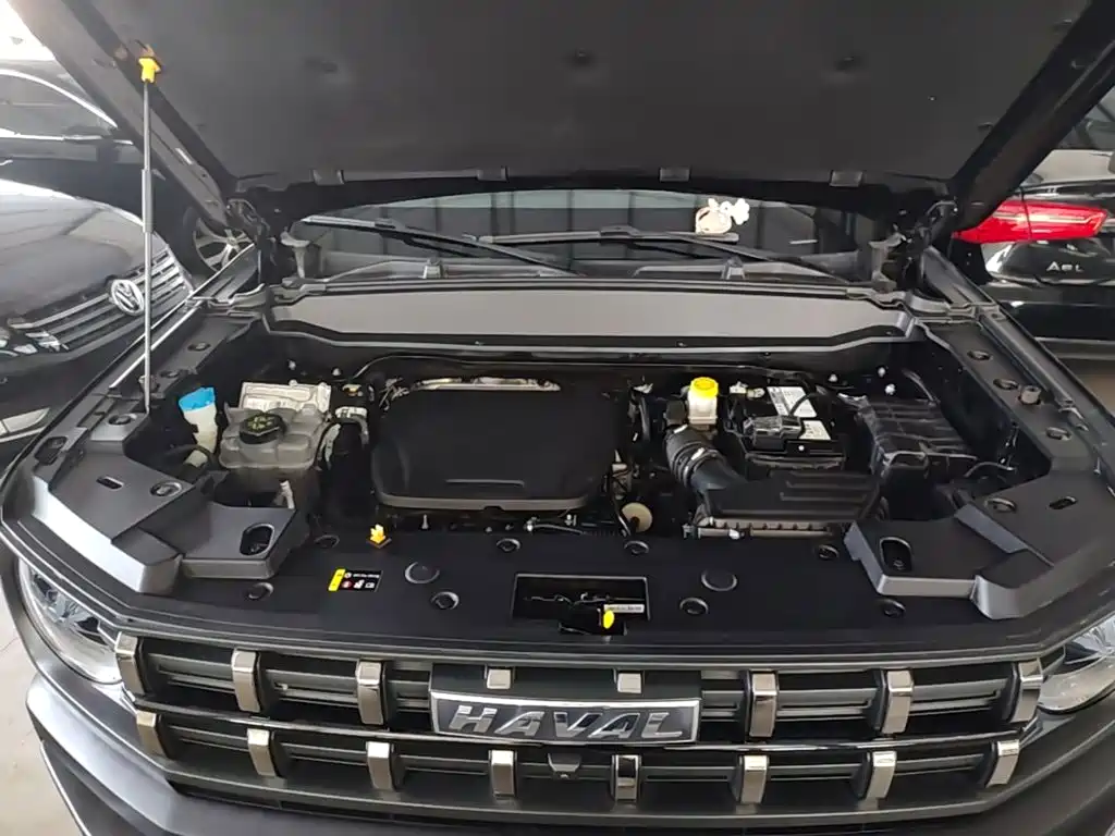 Haval Cool Dog — миниатюра 20