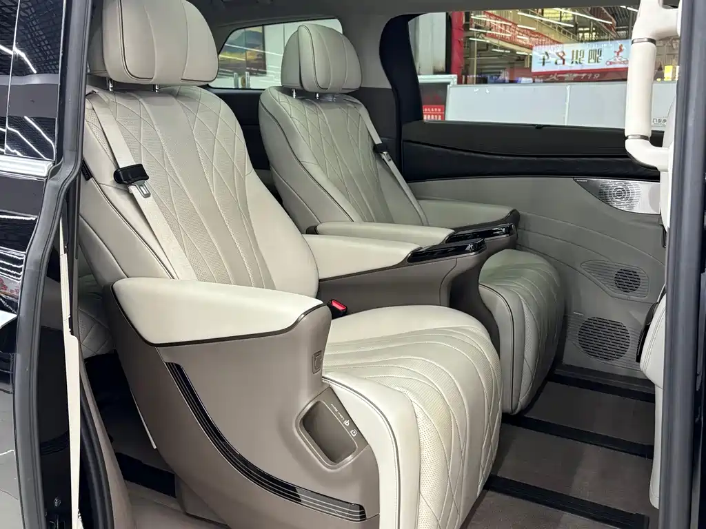 Denza Denza D9 — миниатюра 6