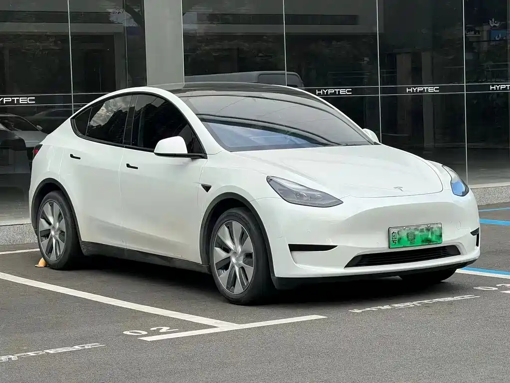 Tesla Model Y — миниатюра 2
