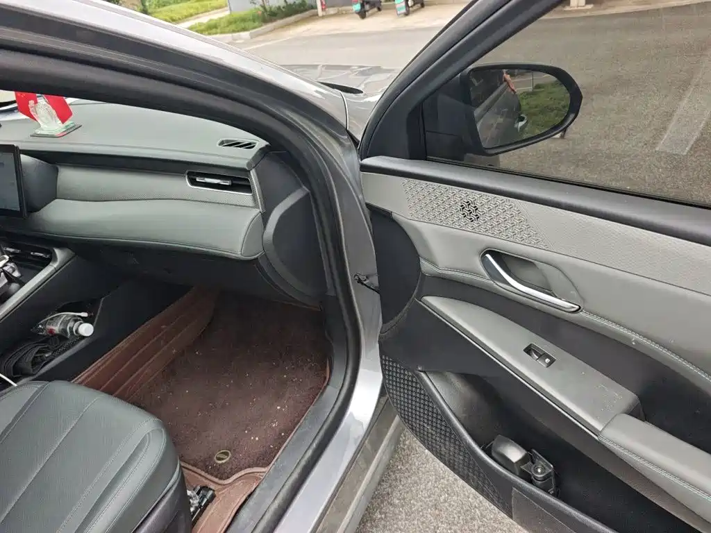 BYD Qin PLUS — миниатюра 18
