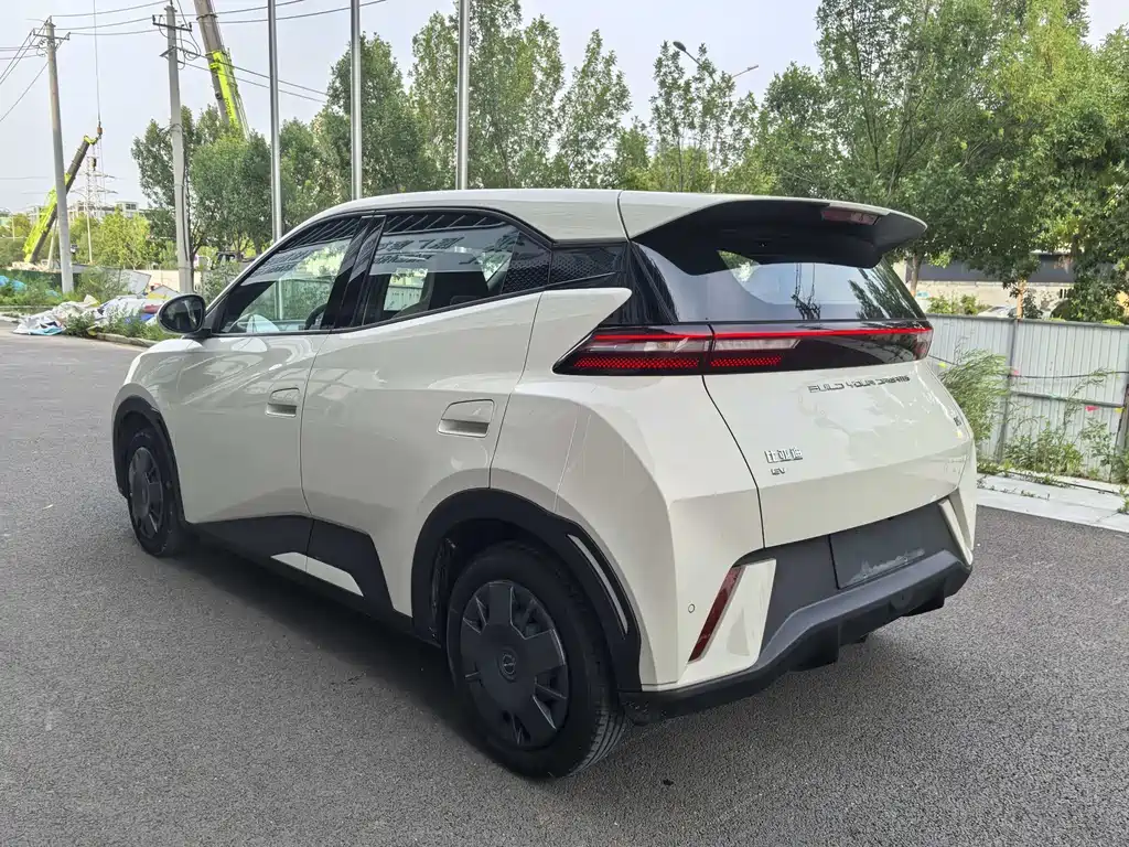 BYD Seagull