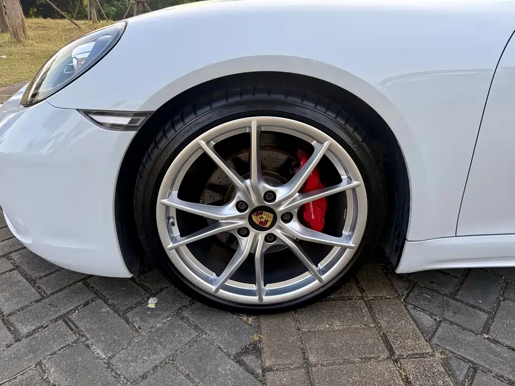 Porsche 718 — миниатюра 14