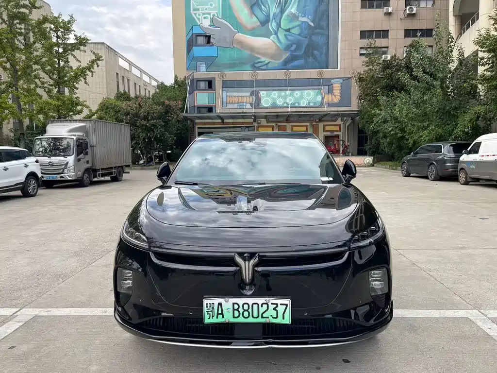 VOYAH Zhiyin