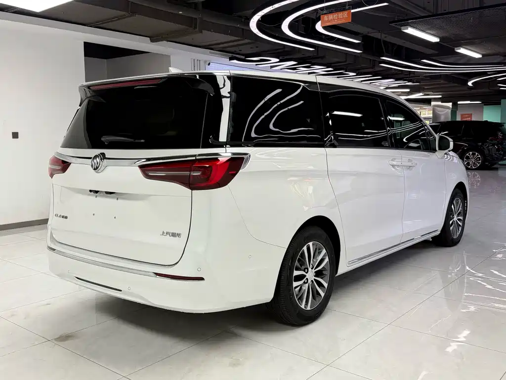 Buick GL8 — миниатюра 6