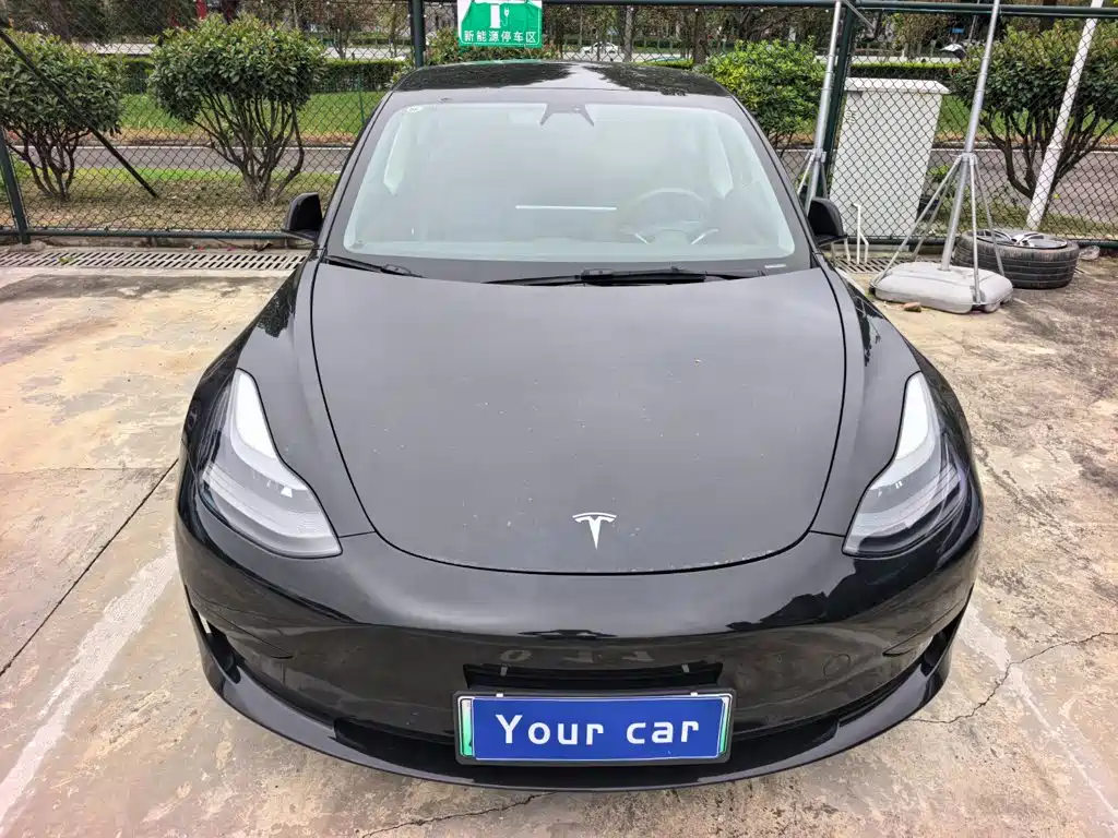 Tesla Model 3 — миниатюра 2