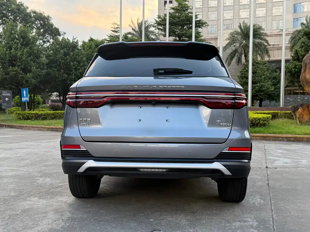 BYD Pro New Energy — миниатюра 15