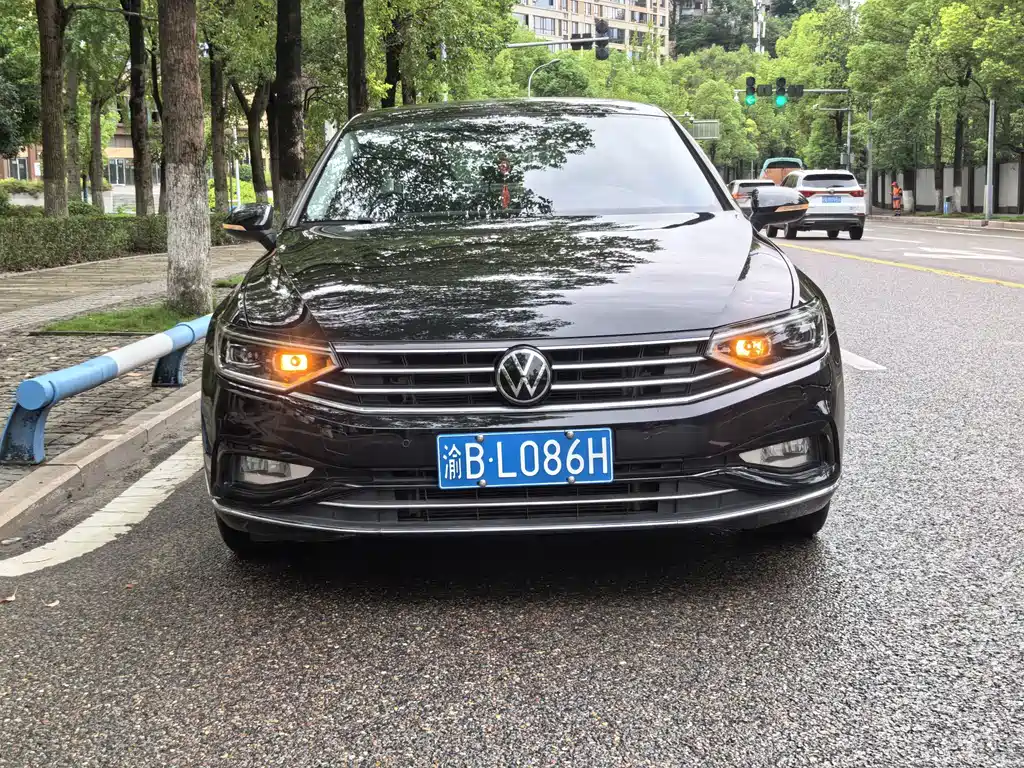 Volkswagen Magotan — миниатюра 2