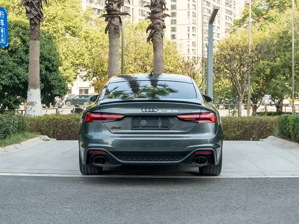 Audi RS 5 2022 RS 5 2.9T Sportback