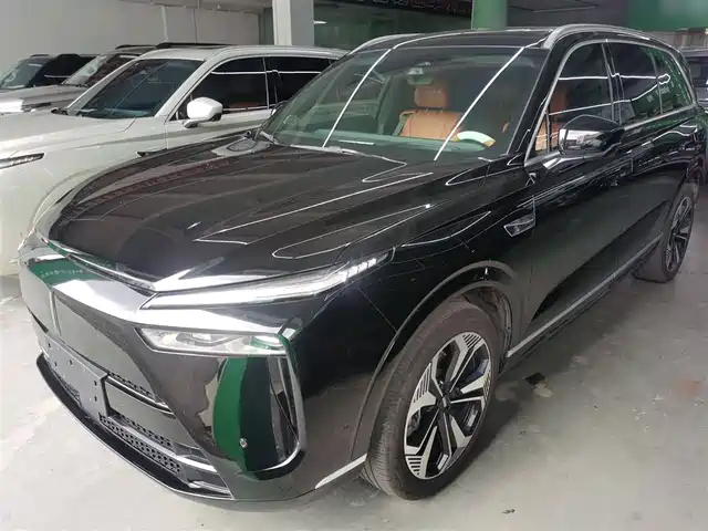 WEI PAI WEI BRAND BLUE MOUNTAIN 2024