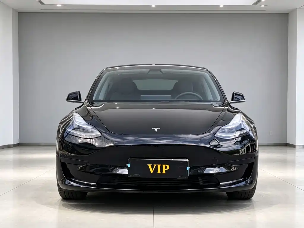Tesla Model 3 — миниатюра 2