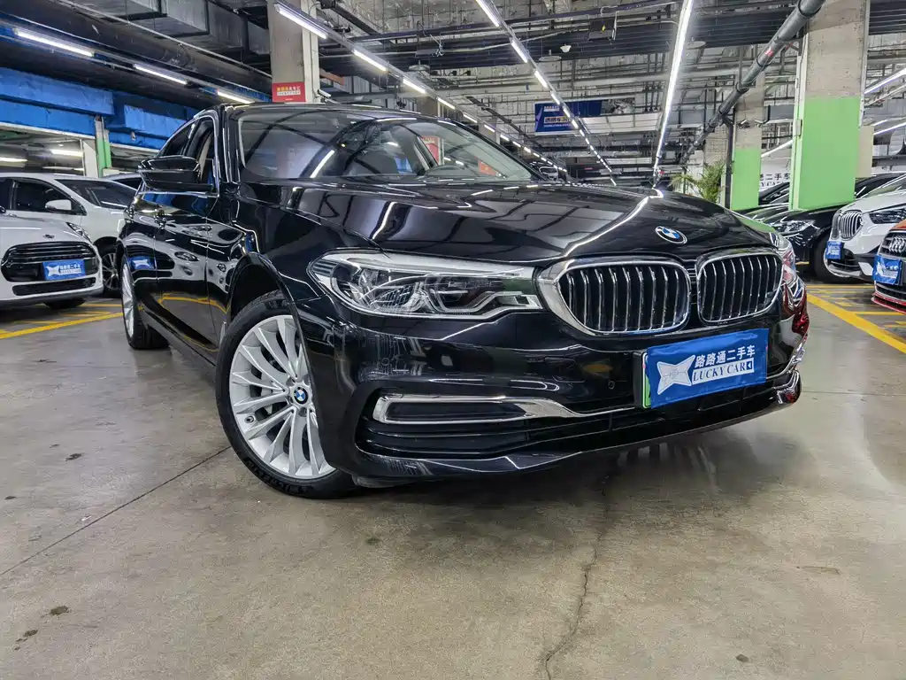 BMW 5 Series New Energy Mileage Upgrade Edition 530Le Pioneer Edition, фото 3