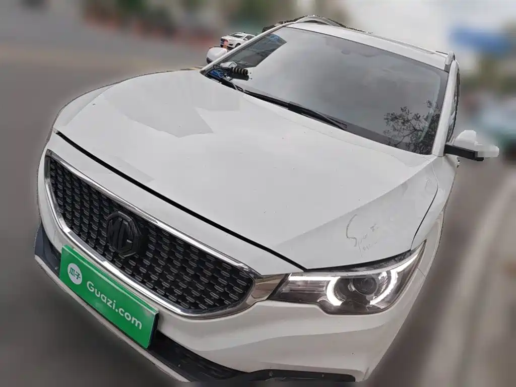 Mg ZS 2018