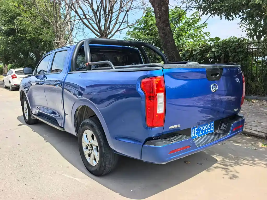 Great Wall Pao — миниатюра 7