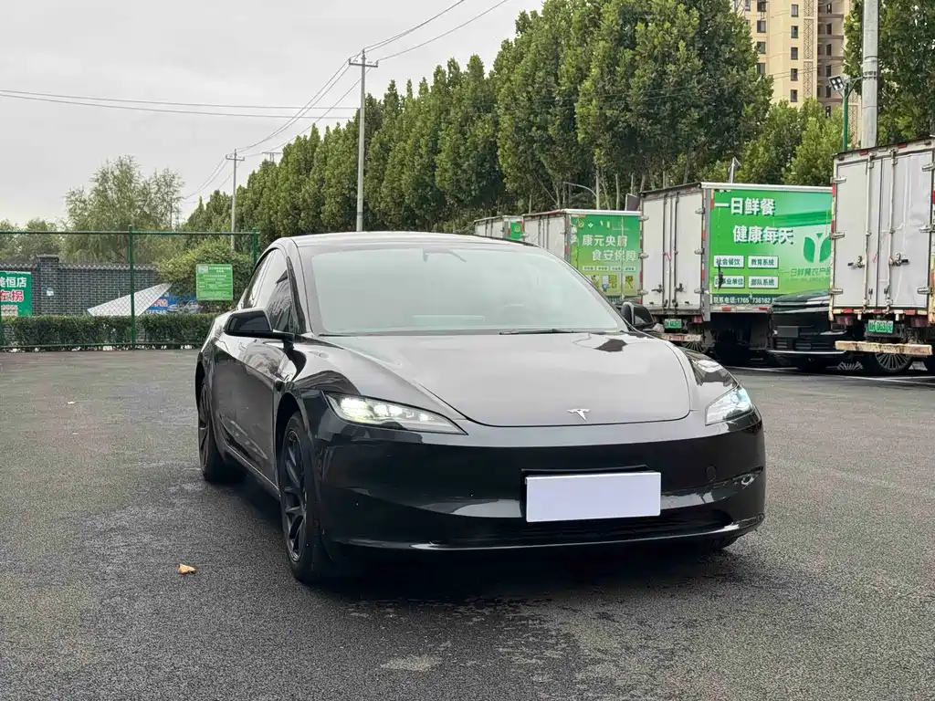 Tesla Model 3 — миниатюра 3