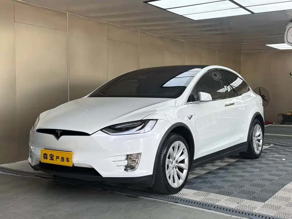 Tesla Model X 2017 Model X 100D
